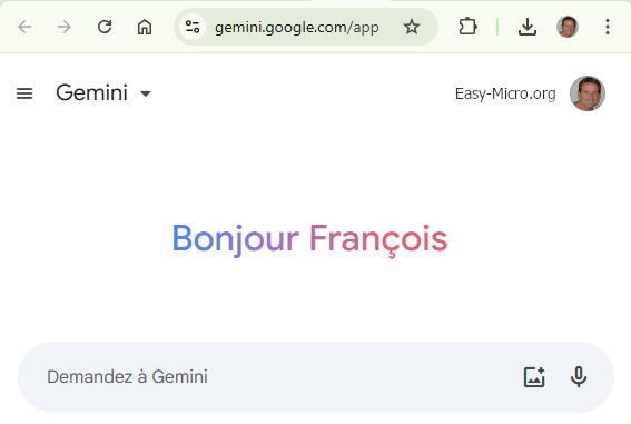 Google Gemini