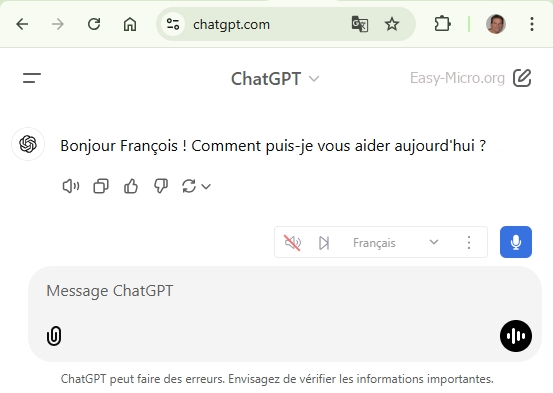 Chat GPT